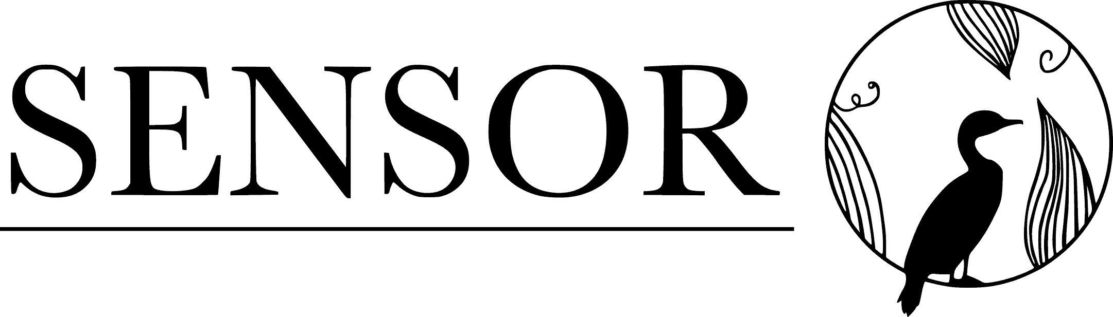 Sensor